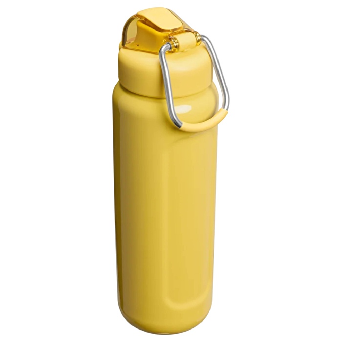 STANLEY The Wellspring Bottle 0.7L / 24oz Dijon Gloss