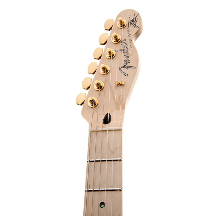 Fender Richie Kotzen Telecaster Brown Sunburst Elektro Gitar