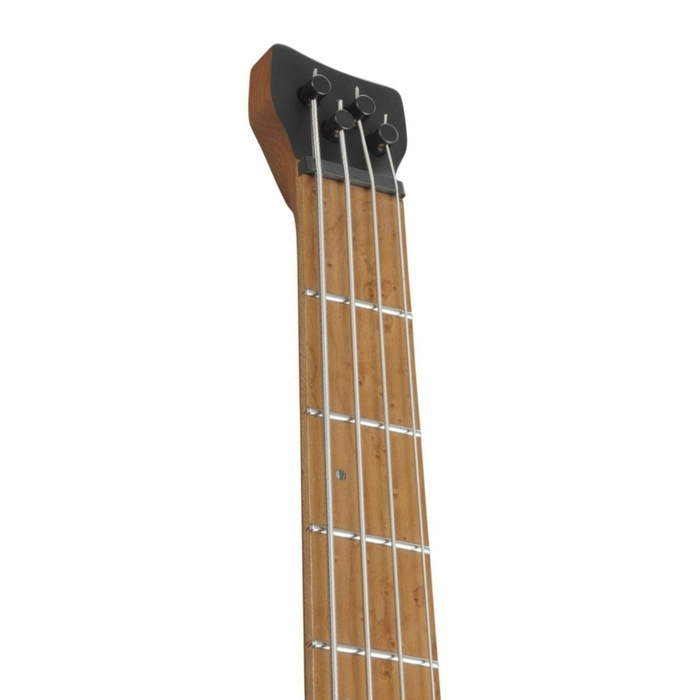 Ibanez EHB1000-AOM Bas Gitar (GigBag Dahil)