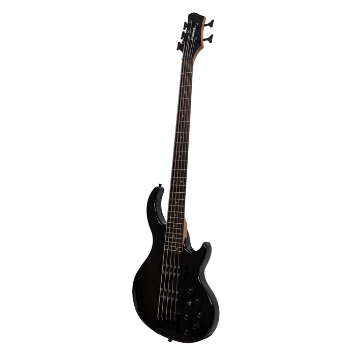 Strinberg B555 5 Telli Siyah Bas Gitar (Gigbag Dahil)
