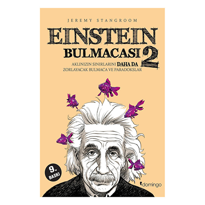 Einstein Bulmacası 2