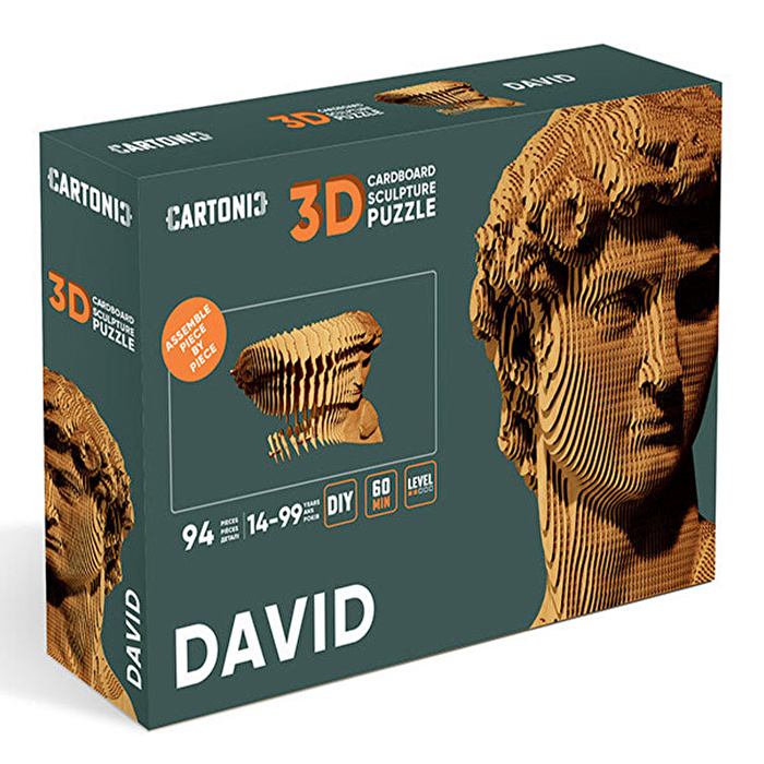 Cardboard puzzle "Cartonic 3D Puzzle DAVID"