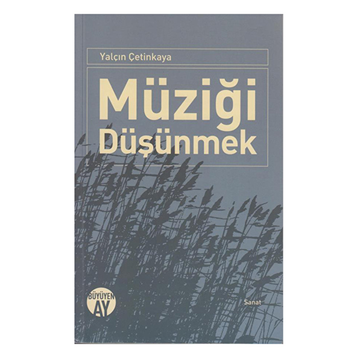 Müziği Düşünmek