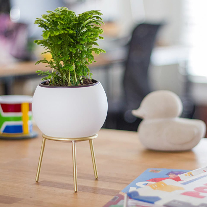 KITBOX Yerküre Saksı Mini - Beyaz