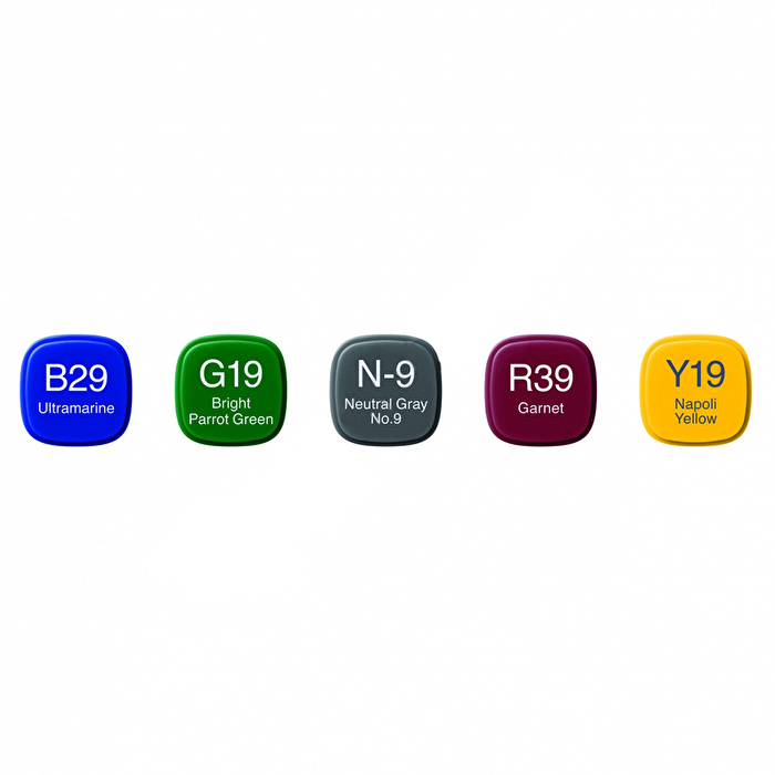 COPIC Classic 5'li Set 6