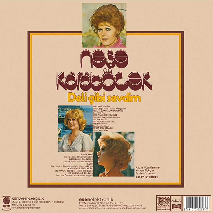 Neşe Karaböcek - Deli Gibi Sevdim