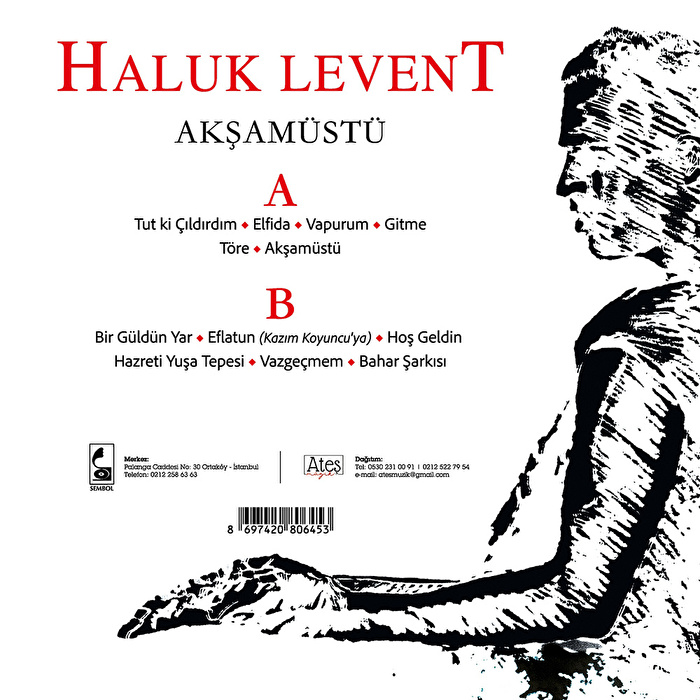 Haluk Levent - Akşam Üstü
