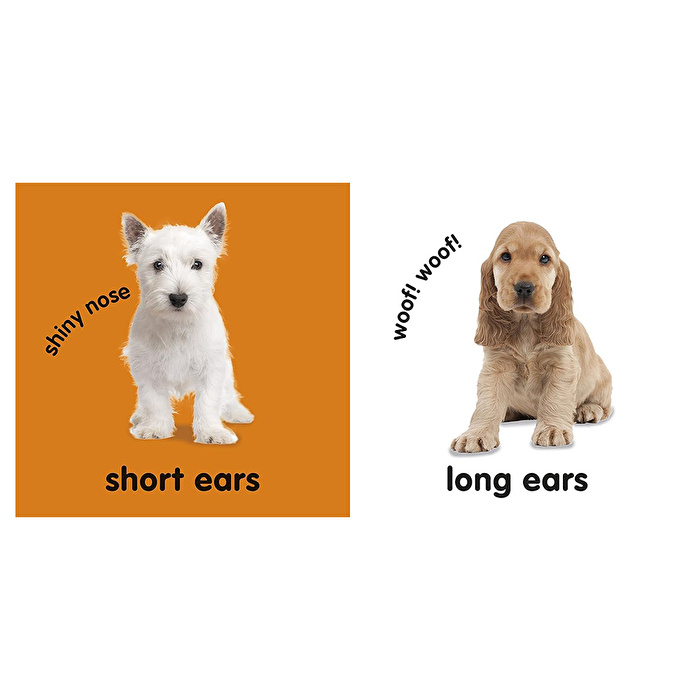 DK - Baby Touch And Feel: Puppies