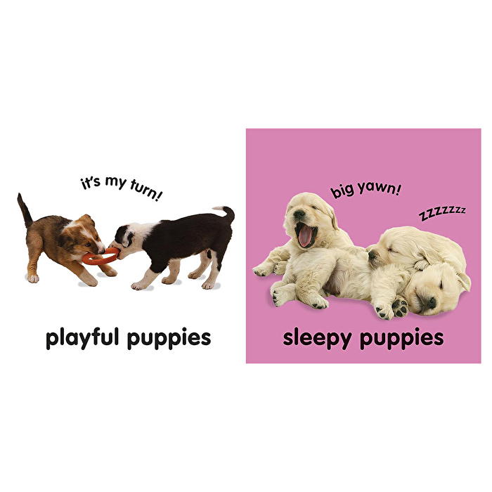 DK - Baby Touch And Feel: Puppies