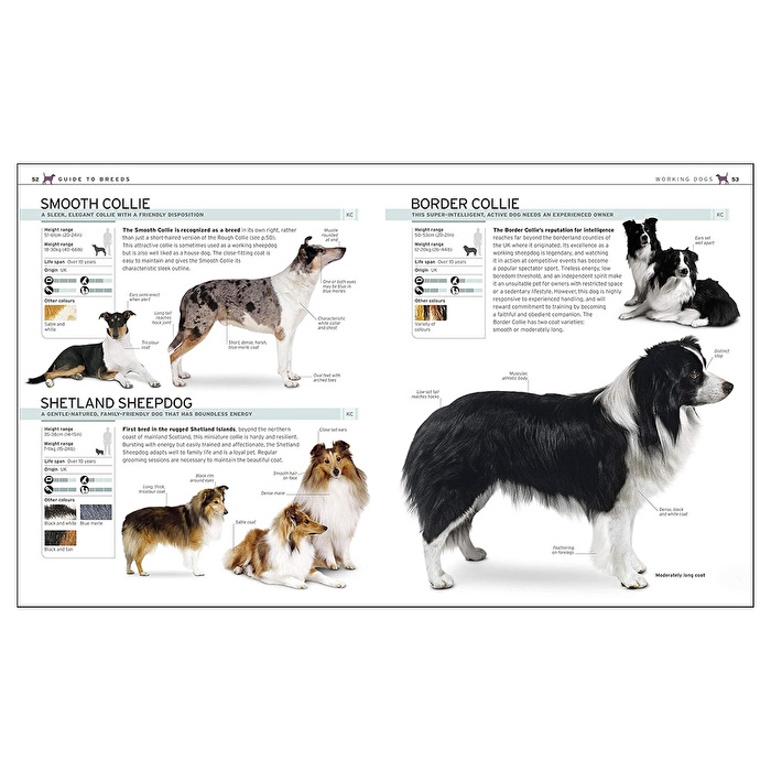 DK - The Complete Dog Breed Book