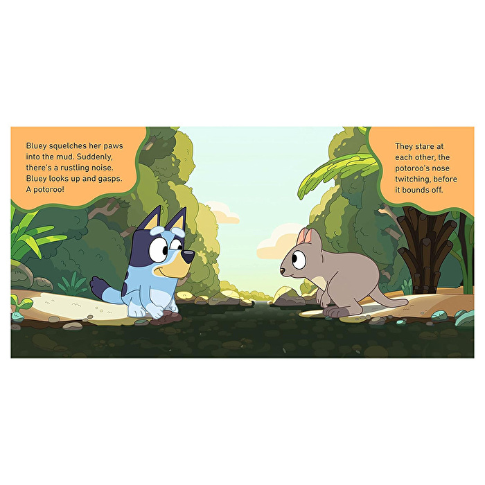 Bluey: The Creek
