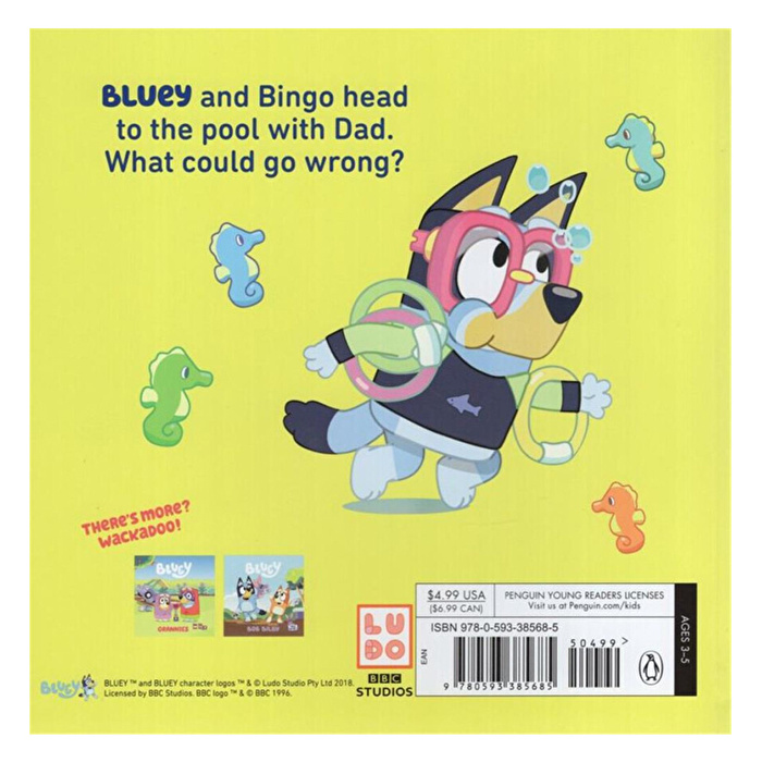 Bluey: The Pool