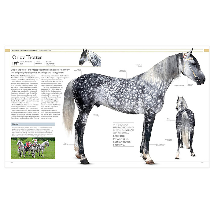 DK - The Horse Encyclopedia