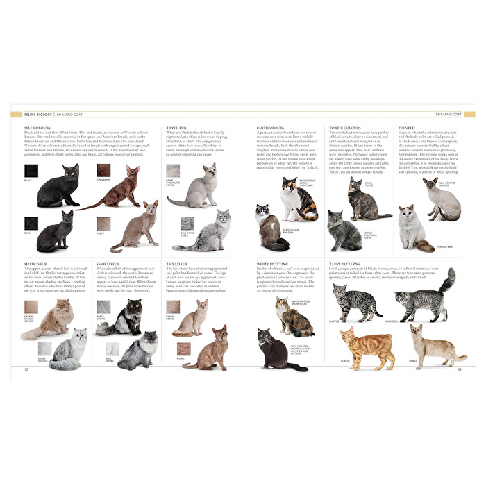 Cat Encyclopedia