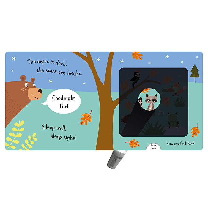 Goodnight Bear - Magic Torch Book