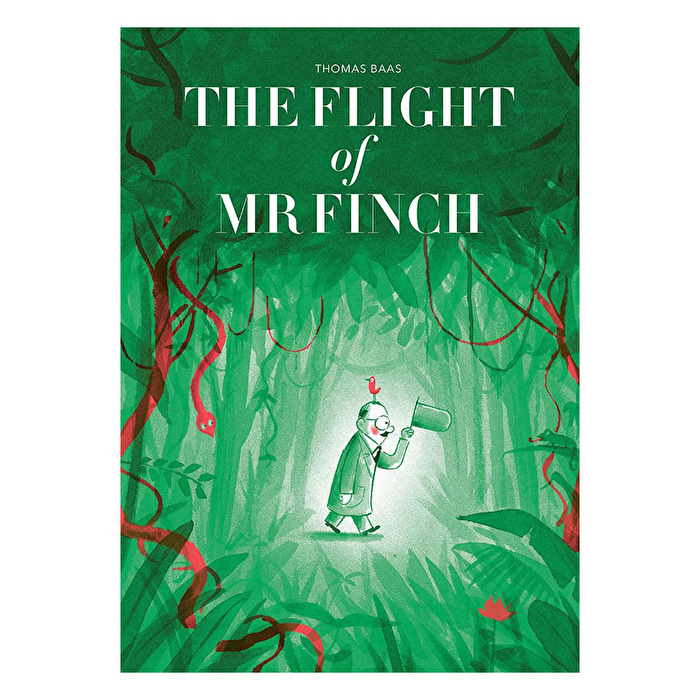 The Flight Of Mr Finch