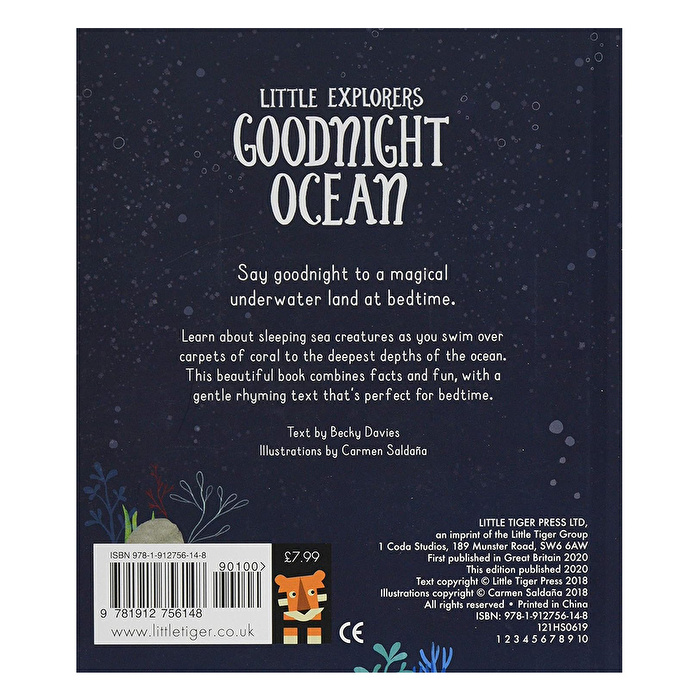 LT - Goodnight Ocean