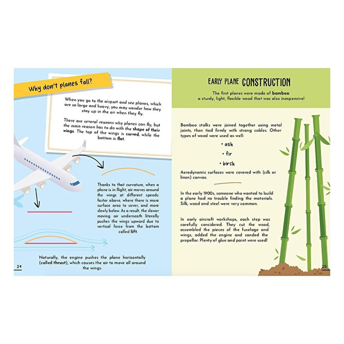 SASSI 3D Plane - Book And 3D Model
