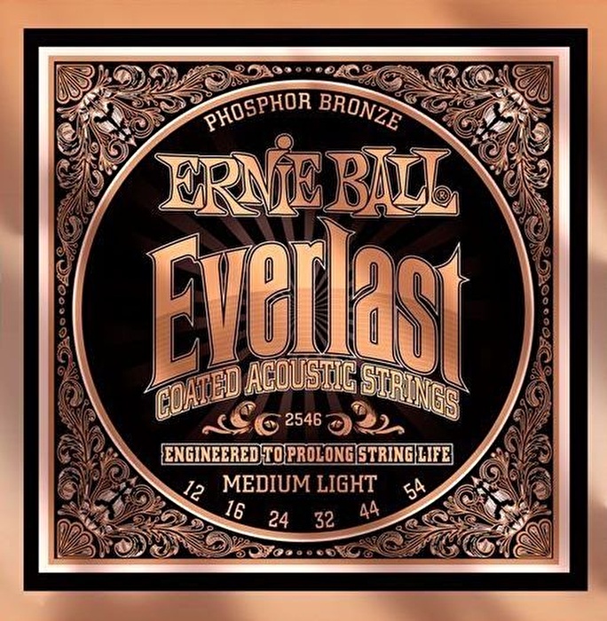 Ernie Ball P02546 Everlast Akustik Gitar Teli (MediumLight)