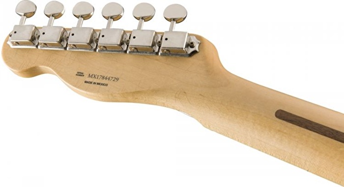 Fender Brad Paisley Road Worn Telecaster Akçaağaç Klavye Silver Sparke Elektro Gitar