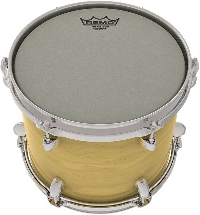 REMO RA-0018-SS- Ambassador® Renaissance® 18" Davul Derisi