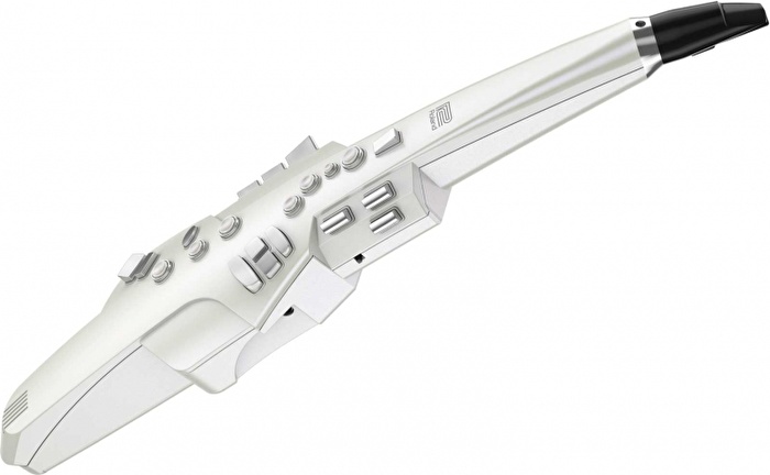 ROLAND AE-10 Aerophone Dijital Saksafon