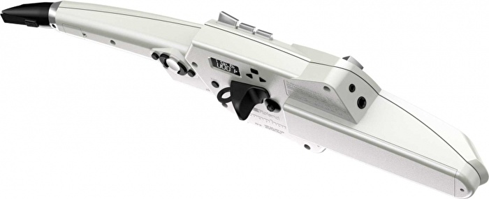 ROLAND AE-10 Aerophone Dijital Saksafon