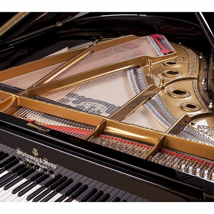 STEINWAY & SONS A-188 İstenilen Renkte Boyanmış Parlak Yüzey Kuyruklu Piyano