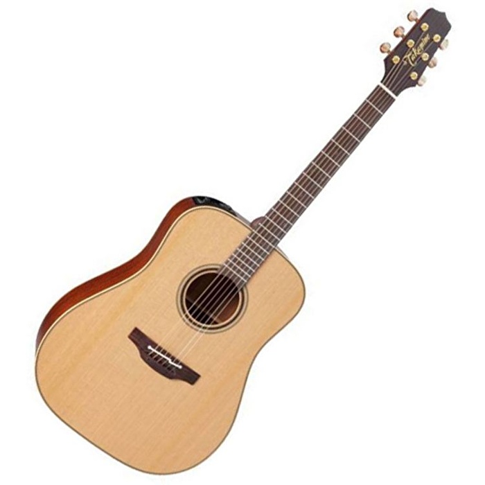 Takamine folk hot sale