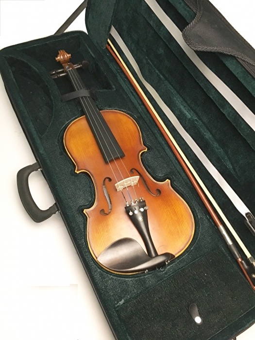 VANETTA HARDFOAM 4/4 Siyah Keman Case