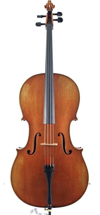 VANETTA WN-19 4/4 Mat Çello